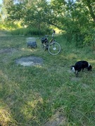 Rower elektryczny SPARTA ION 250W 28'' z Przyczepką dla psa ( Zamiana)