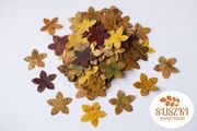 Ekologiczne konfetti naturalne liście kwiaty 50szt