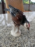 Cudowny, piękny ptak