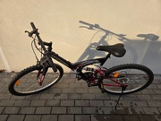 Rower TIGGER Colletion T2000 młodzieżowy, górski