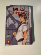 Samurai Deeper Kyo - manga po angielsku, tom 1, manga in english