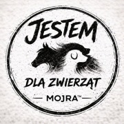 Naklejka na samochód, laptop. Pies, kot, koń, zwierzęta, motyw zwierzęcy.