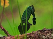 Neck "COLM" Nóż Ręcznie Robiony "Wspaniały Świat Necka"