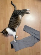 Legginsy S/M szare fit gym yoga high waist wyszczuplające modelujące