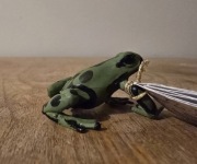 Papo zielona żaba równikowa figurka model z 2015 r.