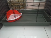 Klatka dla gryzoni 60x30 