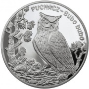 Srebrna moneta - Puchacz 2005 - 0,84 oz uncji Ag 999. Czytaj opis