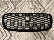 JAGUAR F-PACE LIFT 21- Grill, atrapa zderzaka