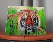 Haft diamentowy 30x40 tygrys obraz na ramie