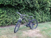 Rower Kross Hexagon v3