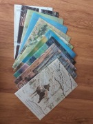 Łowiec Polski 1997 rok