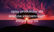 OPISY PRODUKTÓW 