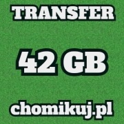 TRANSFER CHOMIKUJ 42 GB BEZTERMINOWO