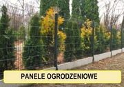 Przęsło ogrodzeniowe z paneli. Ogrodzenie panelowe.