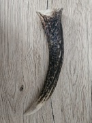 Gryzak dla psa - Róg jelenia 