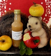 Ocet z jabłek papierówek i leśnej melisy