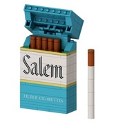 kreatywne pudełko na papierosy klocki zestaw salem