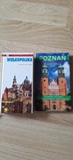 Poznań najstarszy, wielkopolska przewodnik