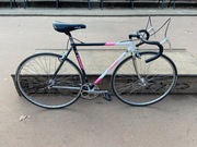 Singlespeed Francesco Moser 51.151