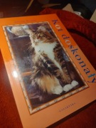 Kot doskonały - Annie Bruce 