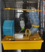 Klatka dla chomika, trociny oraz jedzenie gratis.