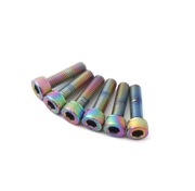 Śruby M5x18mm komplet 6pcs do Mostek Fulcolor MUZIQ cameleon