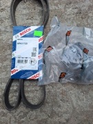 Napinacz paska wielorowkowego plus pasek Scenic 1 1.6 16V