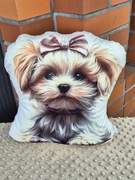 Poduszka maskotka maltańczyk 37cm urodziny prezent