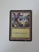 Forest (348) Urza's Saga MTG land