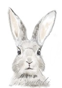 PLAKAT A3 KRÓLIK zając zwierzę leśne MONTESSORI