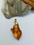 WISIOR Z BURSZTYNU, ZAWIESZKA WBU-31