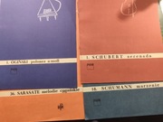 Miniatury fortepianowe i skrzypcowe