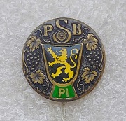 Odznaka Srebrny Palatynackie Stowarzyszenie Strzeleckie PSSB Pi. Niemcy