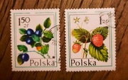 2 ZNACZKI POLSKIE - Borówka czarna Poziomka pospolita - 1,50i1zł PWPW ~1985