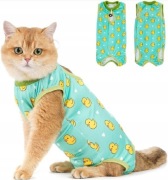 Avont Body dla kota po operacji r.M