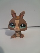 Littlest Pet Shop LPS królik