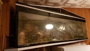 Sprzedam akwarium