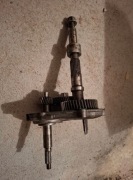 Przekładnia Skrzynia Rotax Aprilia Leonardo 125