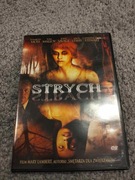 Strych film płyta DVD