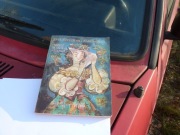 Przez różowa szybkę - Szelburg-Zarembina ilustracje jan Marcin Szancer !!!