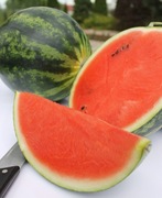 Nasiona arbuza Burebista F1 