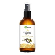 EkaMedica, Olej żywokostowy z gojnikiem, 100 ml