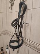 Ogłowie cob lakierowane 