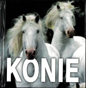 Konie album fotografii