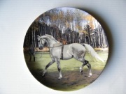 Koń SPODE limitowany talerz kolekcjonerski Noble Horse Hanoverian