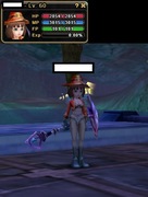 FlyFF Totemia Psykeepler lv 60 TOTEMIA ! Full Eq !
