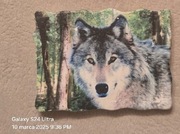 Magnes na lodówkę ceramiczny BIESZCZADY wilk. Solina. Polańczyk. Ustrzyki.