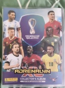 Album z kartami piłkarskimi FIFA world cup katar 2022 ma 342 karty na 495