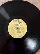 Płyta  winylowa Shakin stewans 