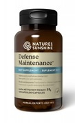 2x Defense Maintenace